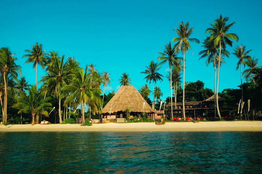 thailand, palms, palm trees-1960549.jpg